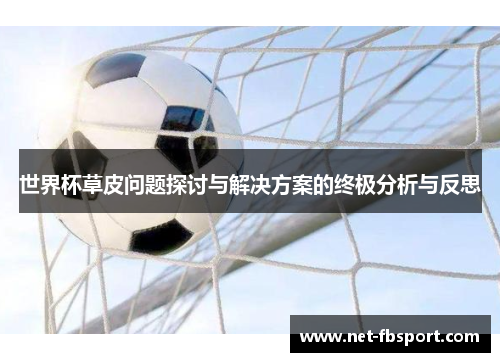 世界杯草皮问题探讨与解决方案的终极分析与反思