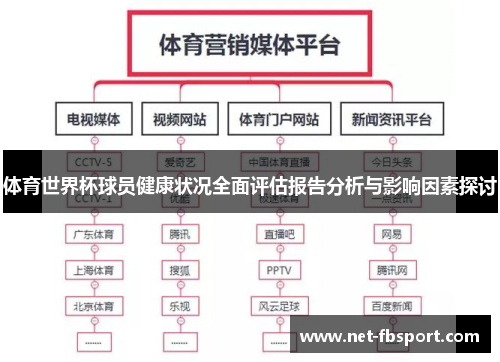 体育世界杯球员健康状况全面评估报告分析与影响因素探讨