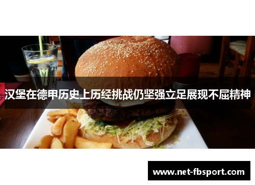 汉堡在德甲历史上历经挑战仍坚强立足展现不屈精神