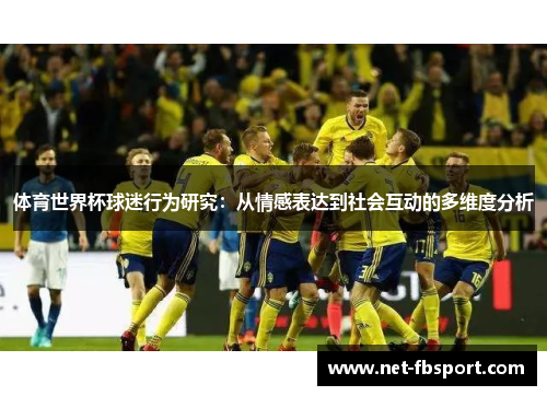 体育世界杯球迷行为研究：从情感表达到社会互动的多维度分析