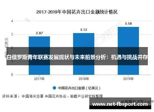 白俄罗斯青年联赛发展现状与未来前景分析：机遇与挑战并存