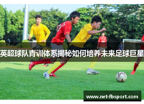 英超球队青训体系揭秘如何培养未来足球巨星