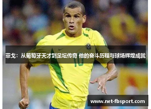 菲戈：从葡萄牙天才到足坛传奇 他的奋斗历程与球场辉煌成就