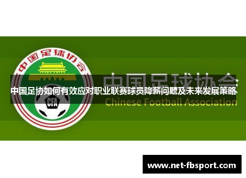 中国足协如何有效应对职业联赛球员降薪问题及未来发展策略