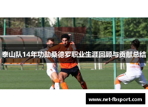 泰山队14年功勋桑德罗职业生涯回顾与贡献总结