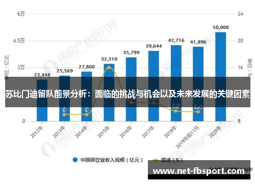 苏比门迪留队前景分析：面临的挑战与机会以及未来发展的关键因素