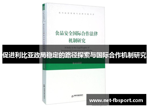 促进利比亚政局稳定的路径探索与国际合作机制研究