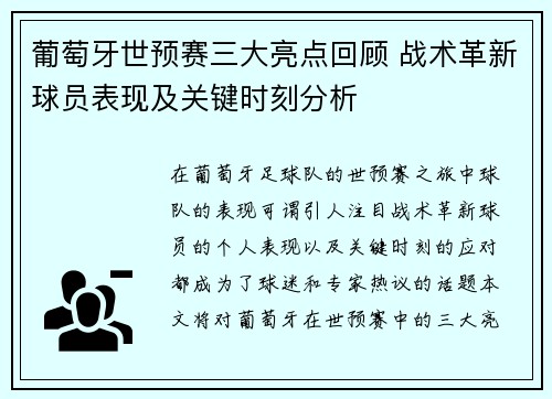 葡萄牙世预赛三大亮点回顾 战术革新球员表现及关键时刻分析